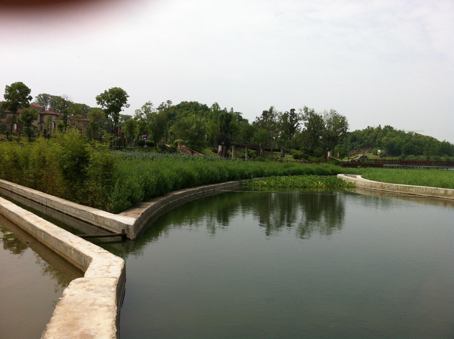 长沙市青竹湖星月水库水质净化工程