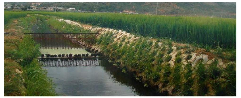 屈原管理区平江河流域农业面源污染防治工程