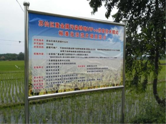 湖南省郴州市苏仙区千亩农田镉污染修复项目